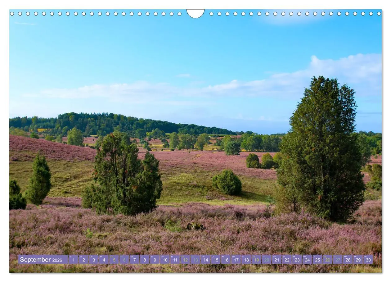 Bild: 9783457599259 | Die Farbenpracht der Lüneburger Heide (Wandkalender 2026 DIN A3...