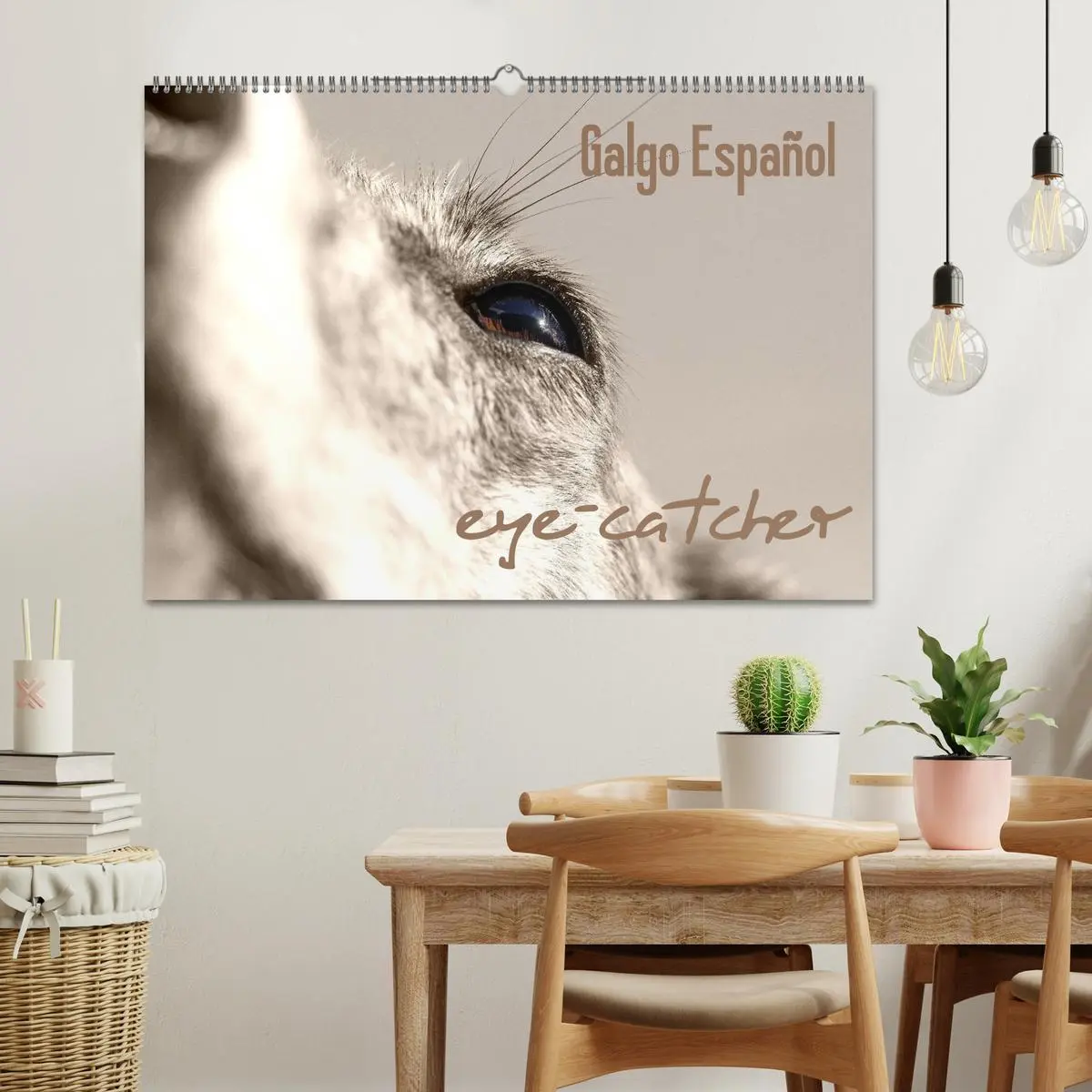 Bild: 9783457979259 | Galgo eye-catcher (Wandkalender 2026 DIN A2 quer), CALVENDO...