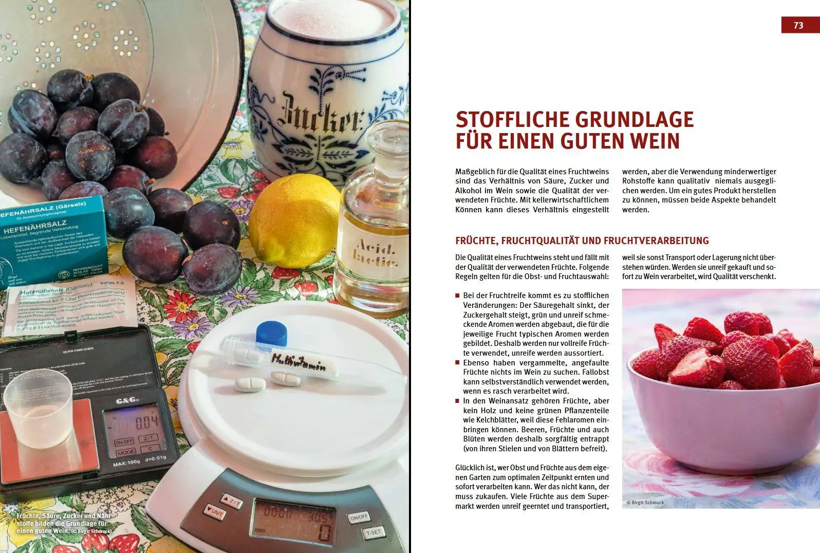 Bild: 9783702019259 | Craft Wine selbst gemacht | Das große Buch der Fruchtweinbereitung