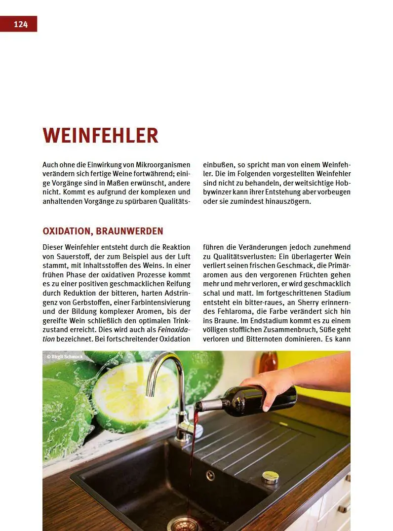 Bild: 9783702019259 | Craft Wine selbst gemacht | Das große Buch der Fruchtweinbereitung
