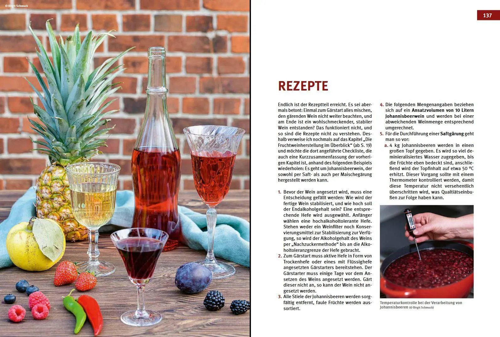 Bild: 9783702019259 | Craft Wine selbst gemacht | Das große Buch der Fruchtweinbereitung