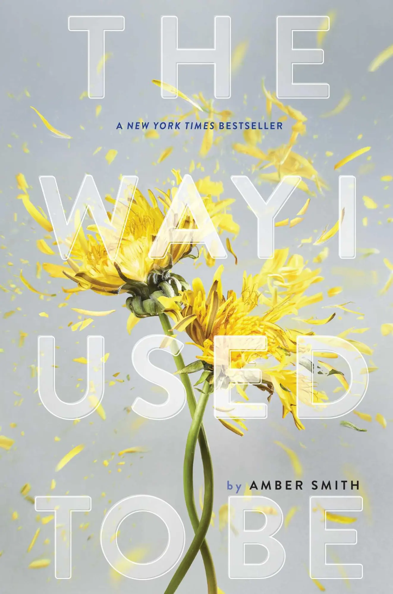 Cover: 9781481449359 | The Way I Used to Be | Amber Smith | Buch | Englisch | 2016