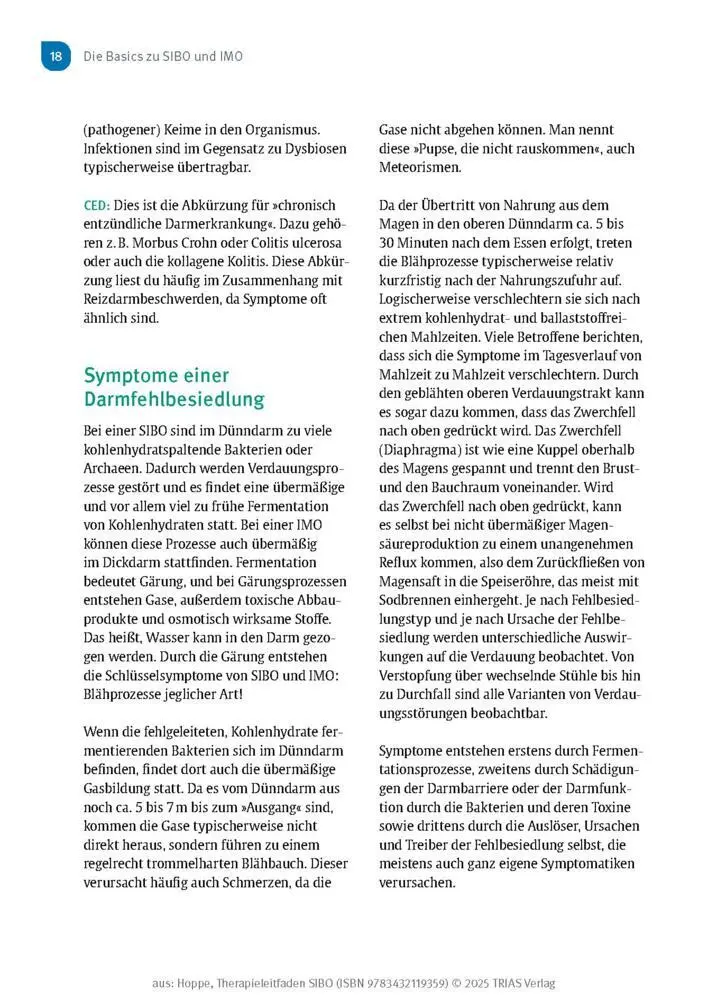 Bild: 9783432119359 | Therapieleitfaden SIBO | Gabriela Hoppe | Taschenbuch | 248 S. | 2025
