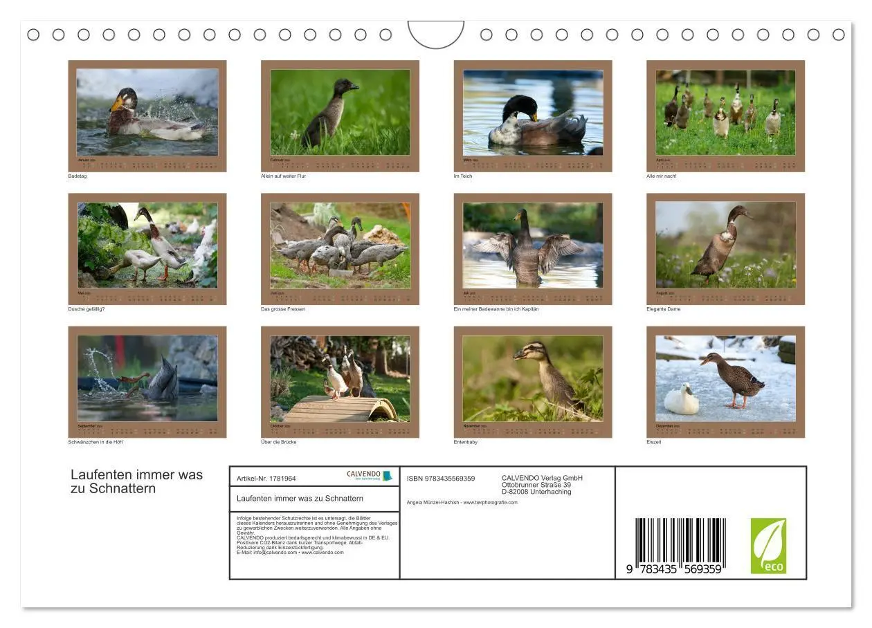 Bild: 9783435569359 | Laufenten immer was zu Schnattern (Wandkalender 2025 DIN A4 quer),...
