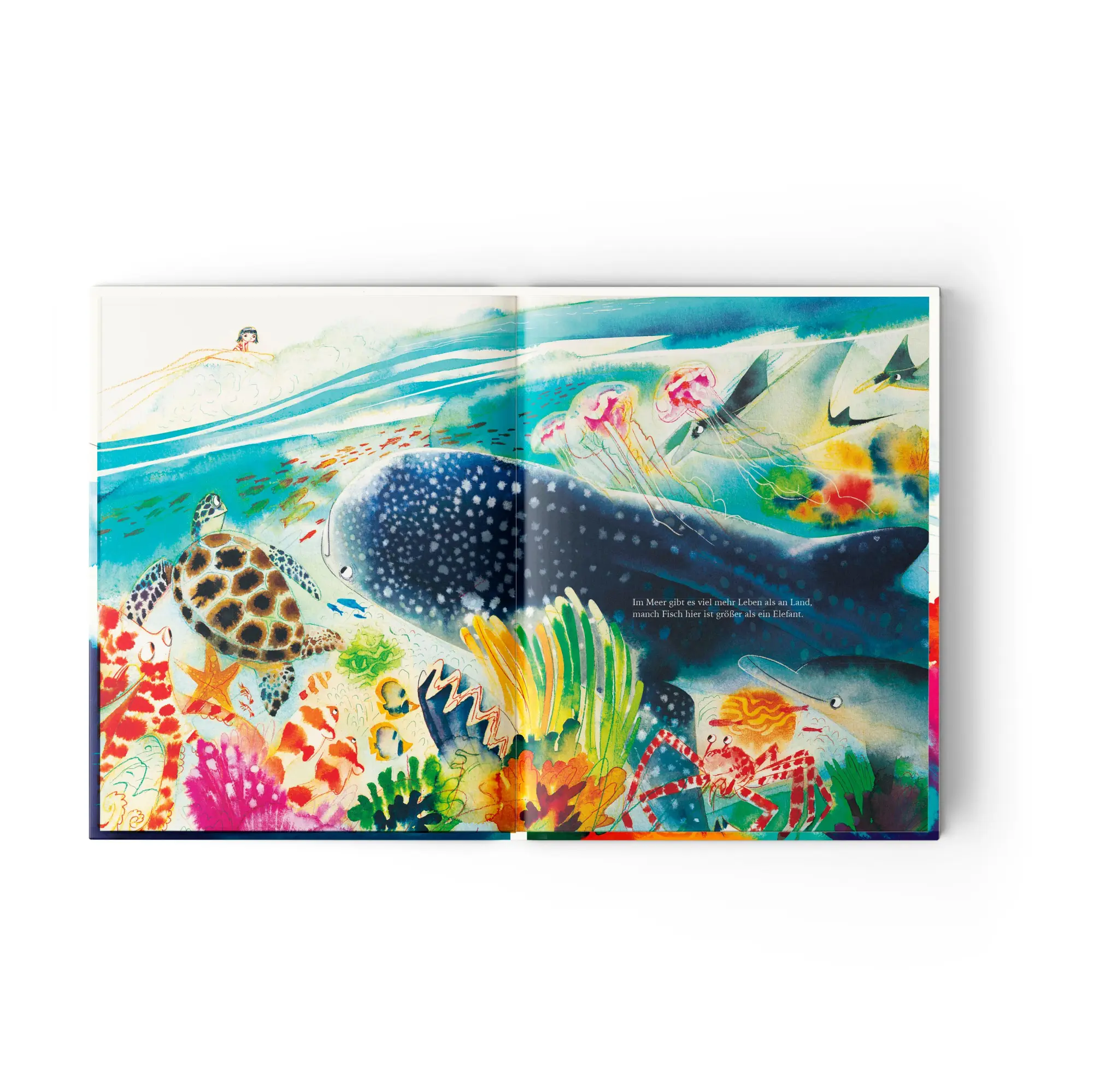 Bild: 9783949239359 | Herr Meer | André Carrilho | Buch | 40 S. | Deutsch | 2025