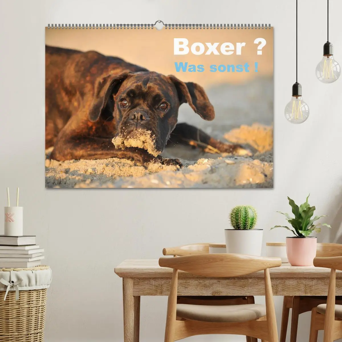 Bild: 9783516049459 | Boxer ? Was sonst ! (Wandkalender 2026 DIN A2 quer), CALVENDO...