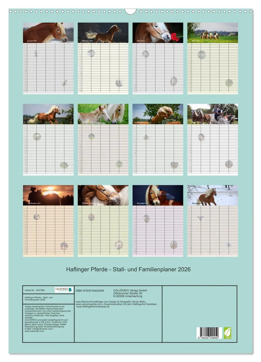 Bild: 9783516429459 | Haflinger Pferde - Stall- und Familienplaner 2026 (Wandkalender...