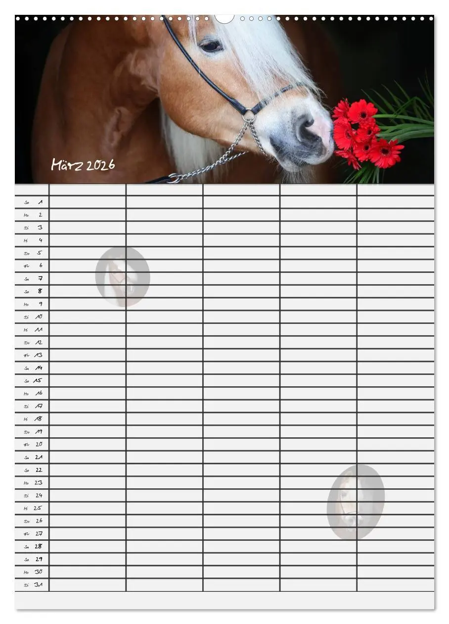 Bild: 9783516429459 | Haflinger Pferde - Stall- und Familienplaner 2026 (Wandkalender...