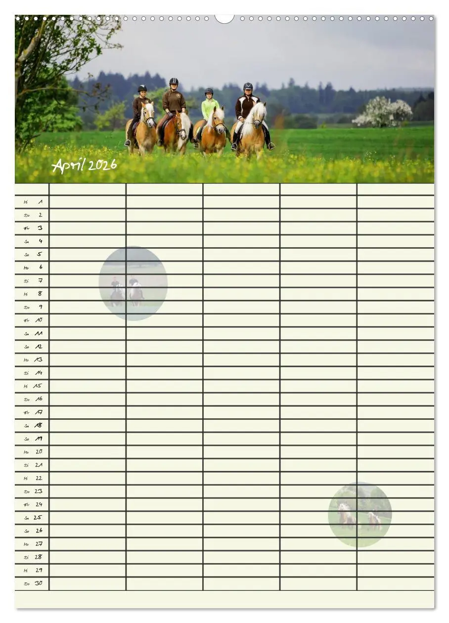 Bild: 9783516429459 | Haflinger Pferde - Stall- und Familienplaner 2026 (Wandkalender...