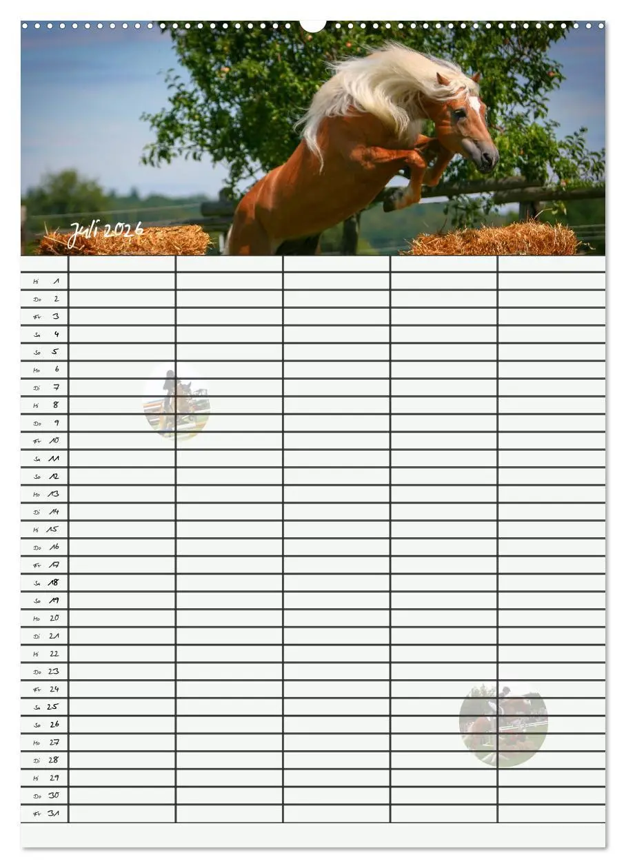 Bild: 9783516429459 | Haflinger Pferde - Stall- und Familienplaner 2026 (Wandkalender...