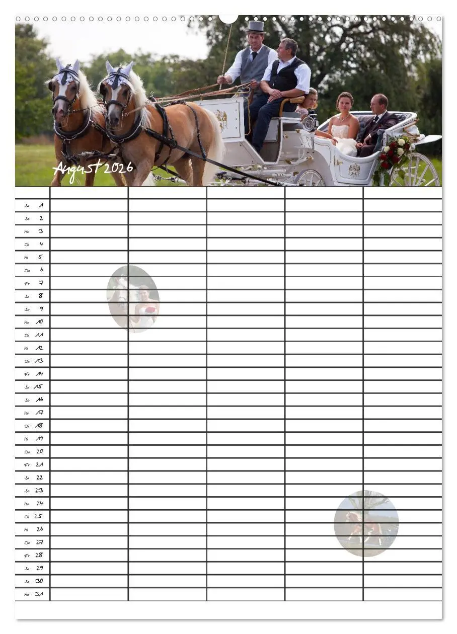 Bild: 9783516429459 | Haflinger Pferde - Stall- und Familienplaner 2026 (Wandkalender...