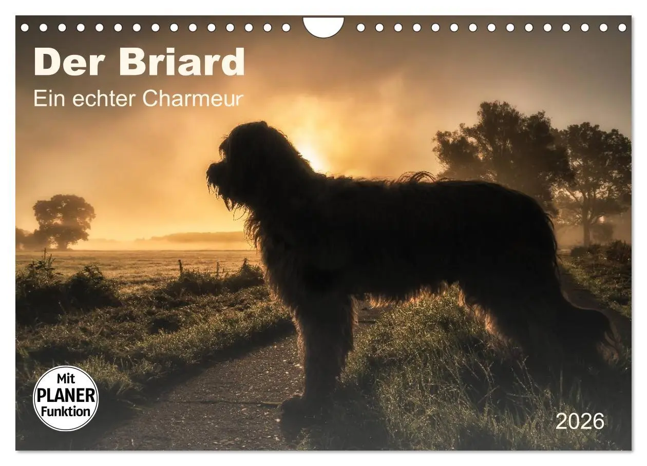 Cover: 9783457949559 | Der Briard 2026 - Ein echter Charmeur (Wandkalender 2026 DIN A4...