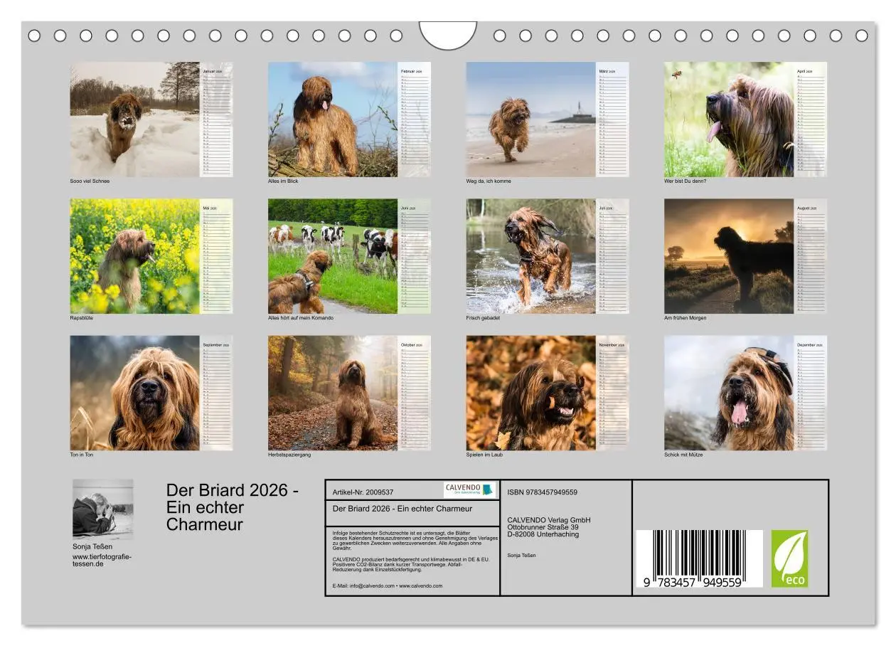 Bild: 9783457949559 | Der Briard 2026 - Ein echter Charmeur (Wandkalender 2026 DIN A4...