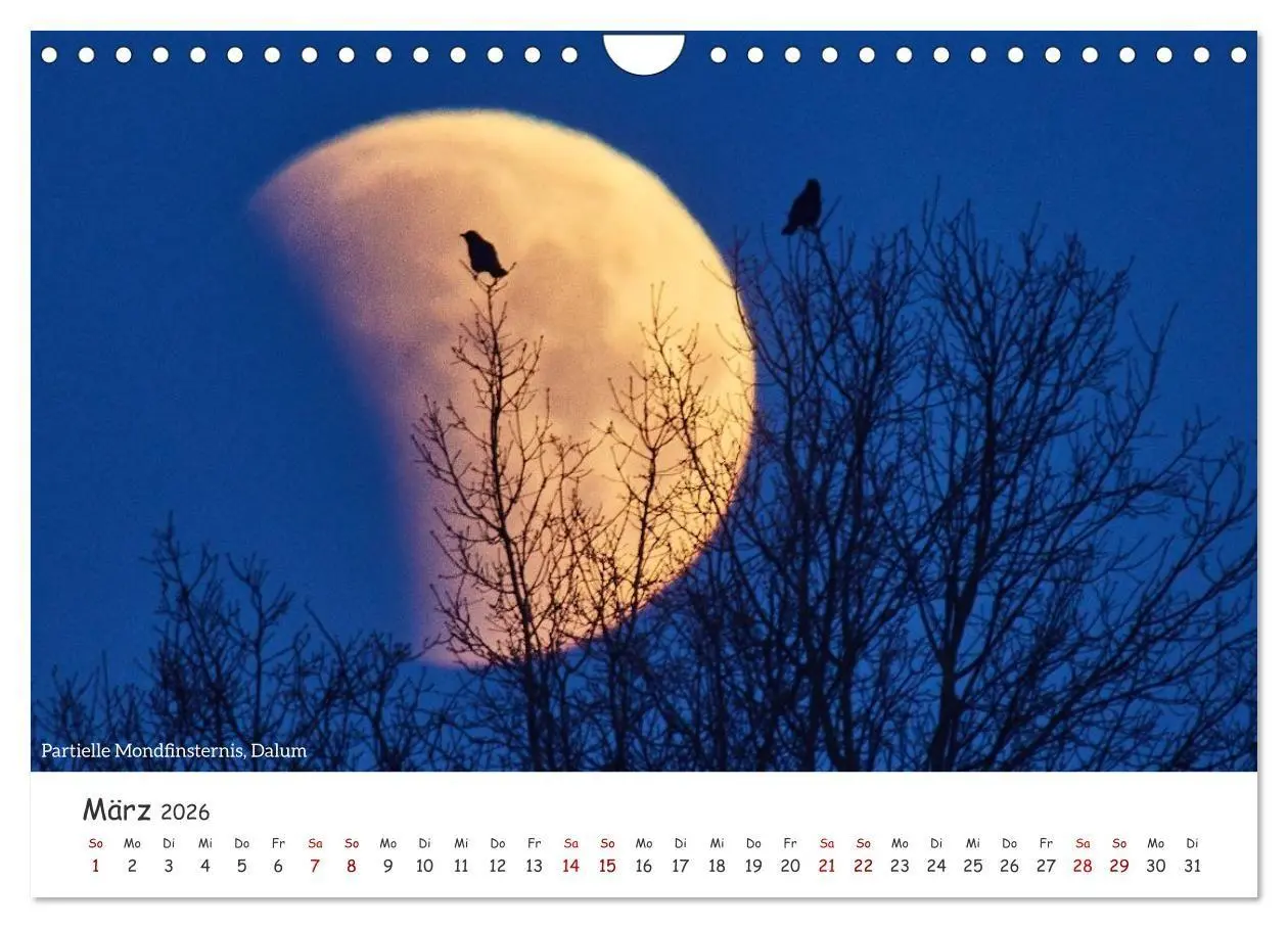 Bild: 9783516729559 | Emsland Impressionen (Wandkalender 2026 DIN A4 quer), CALVENDO...