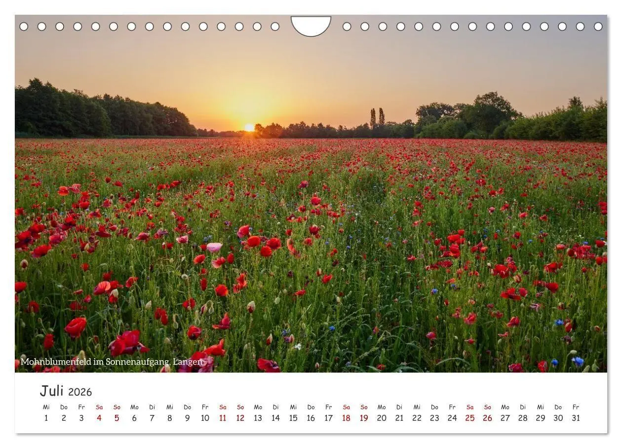 Bild: 9783516729559 | Emsland Impressionen (Wandkalender 2026 DIN A4 quer), CALVENDO...