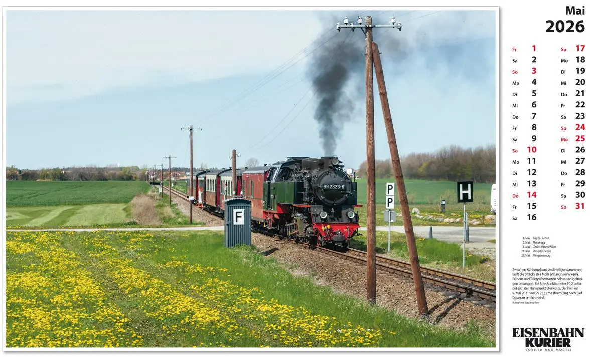 Bild: 9783844659559 | Molli 2026 | Kalender | 13 S. | Deutsch | 2026 | EK-Verlag