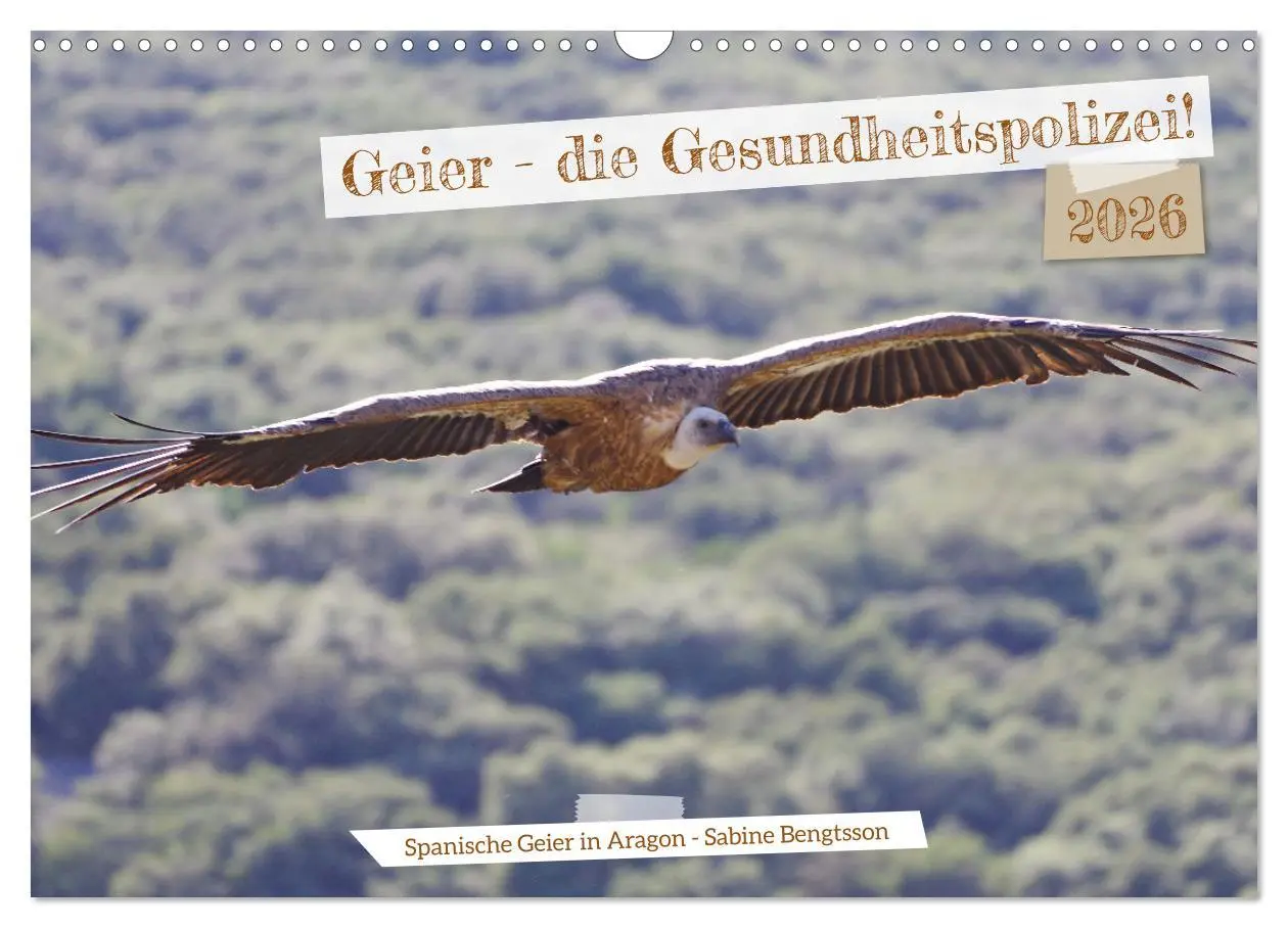 Cover: 9783457489659 | Geier - die Gesundheitspolizei! (Wandkalender 2026 DIN A3 quer),...