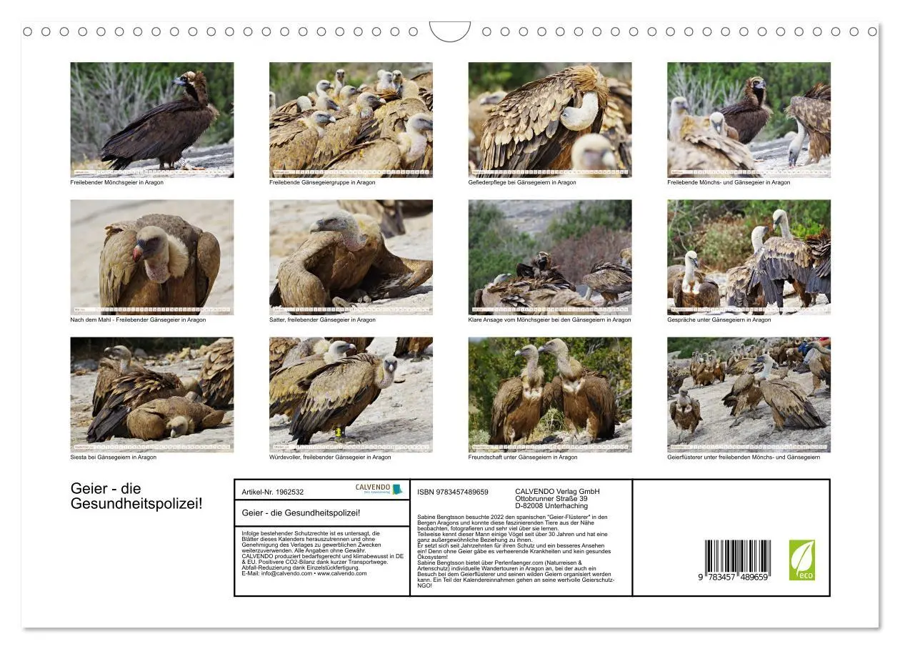 Bild: 9783457489659 | Geier - die Gesundheitspolizei! (Wandkalender 2026 DIN A3 quer),...
