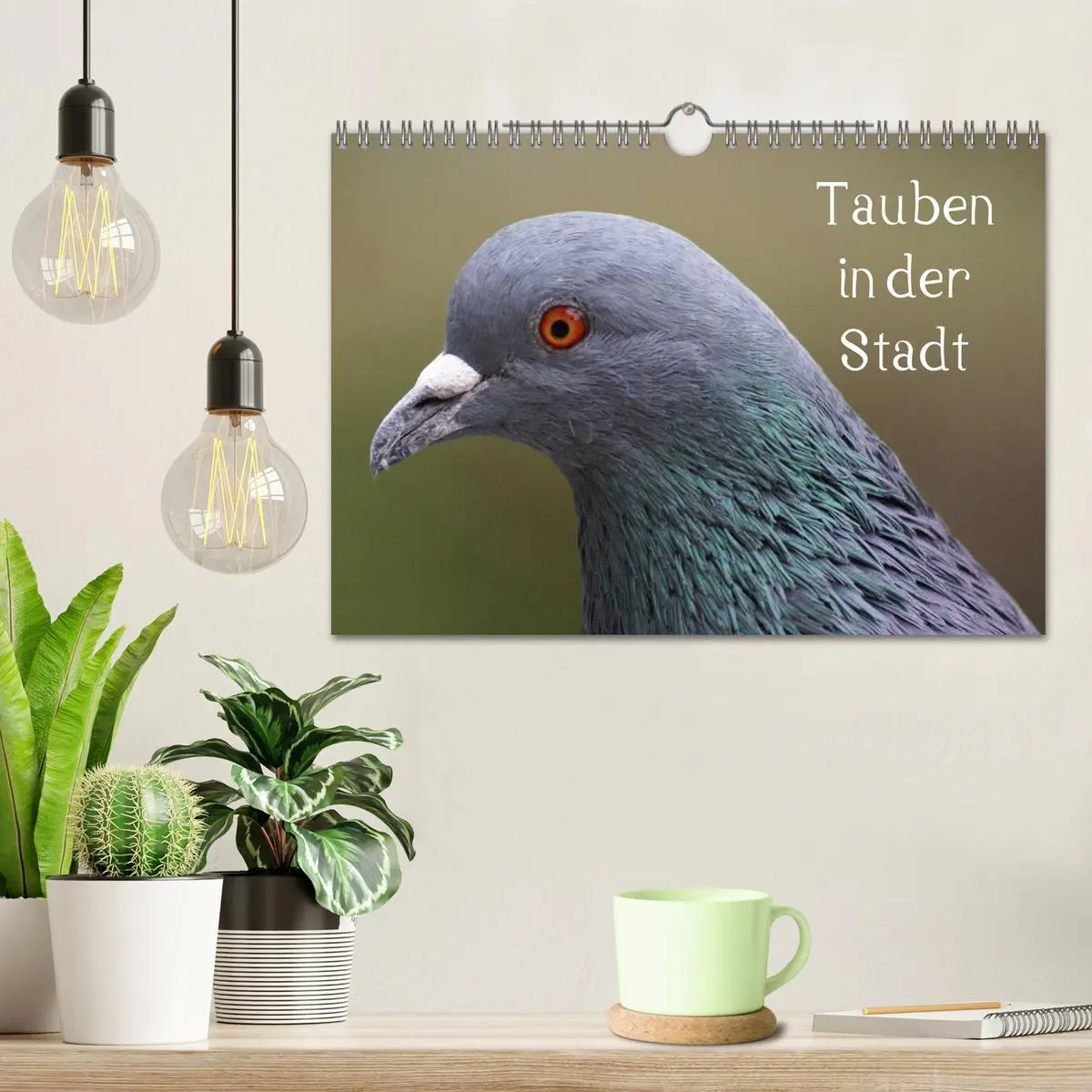 Bild: 9783516199659 | Tauben in der Stadt (Wandkalender 2026 DIN A4 quer), CALVENDO...