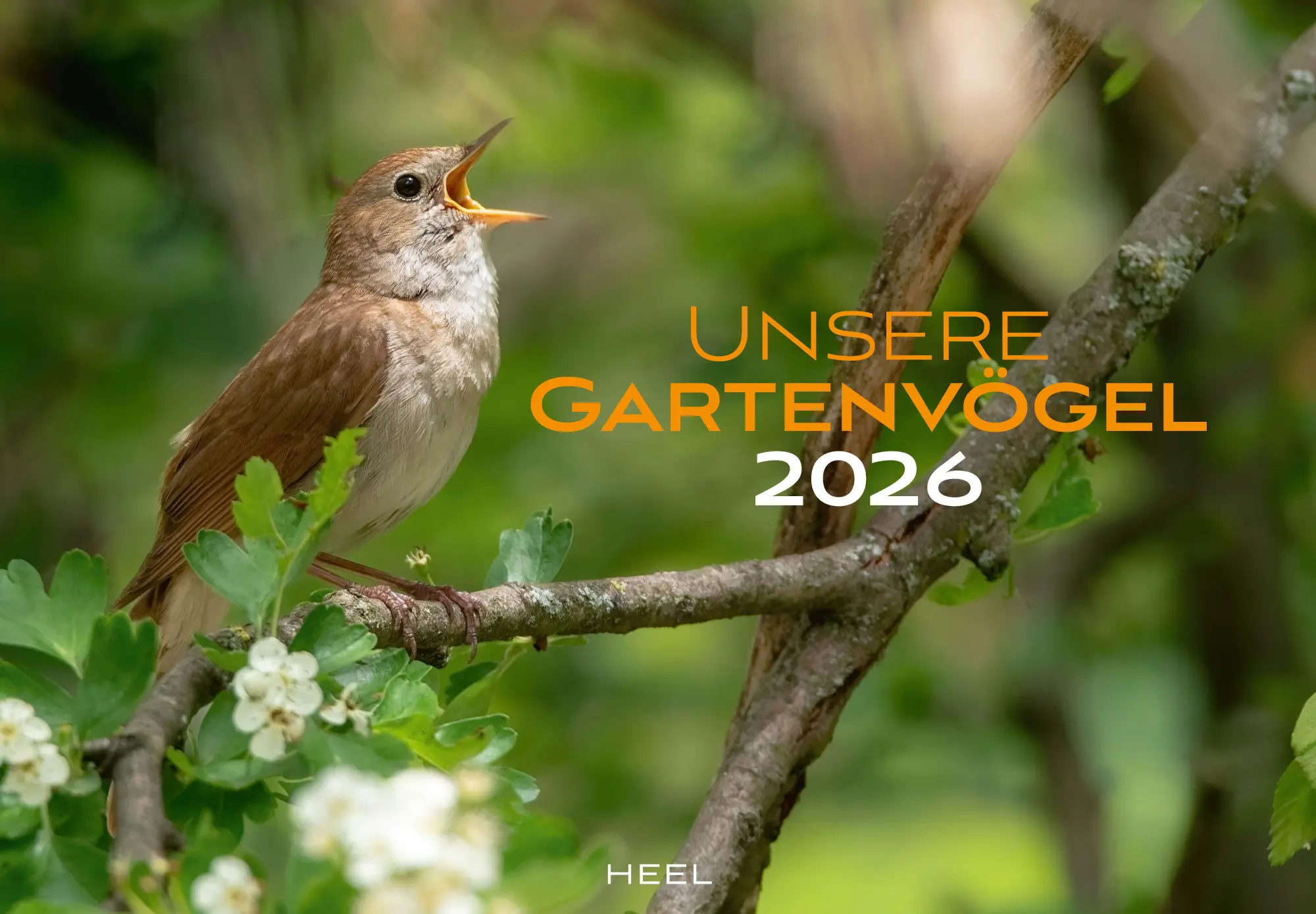 Cover: 9783966649759 | Unsere Gartenvögel Kalender 2026 | Kalender | 14 S. | Deutsch | 2026