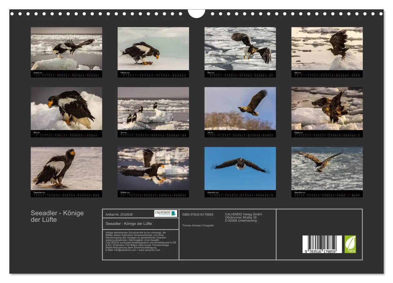 Bild: 9783516179859 | Seeadler - Könige der Lüfte (Wandkalender 2026 DIN A3 quer),...