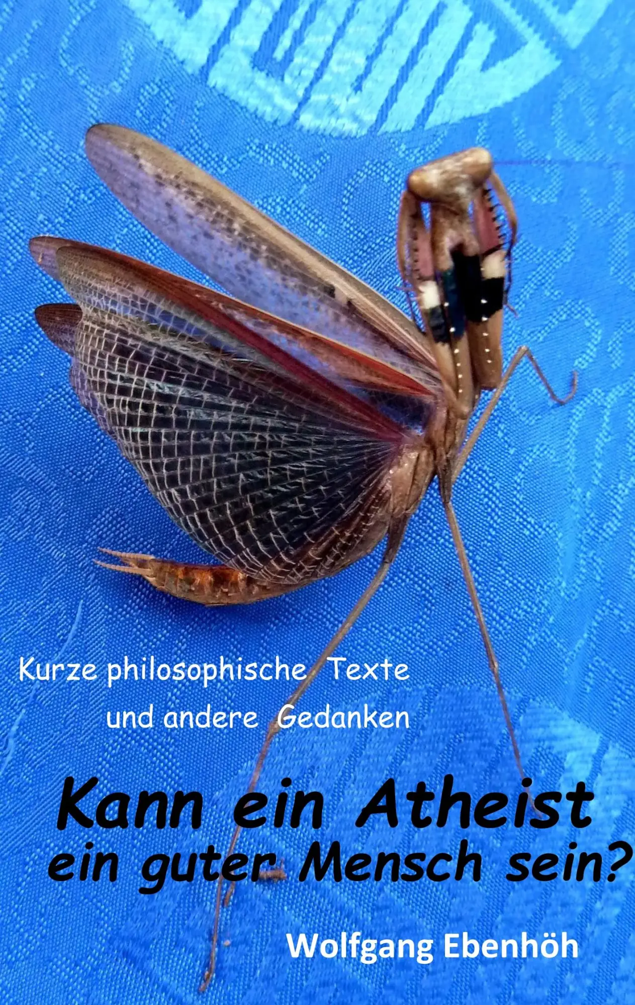 Cover: 9783748149859 | Kann ein Atheist ein guter Mensch sein? | Wolfgang Ebenhöh | Buch