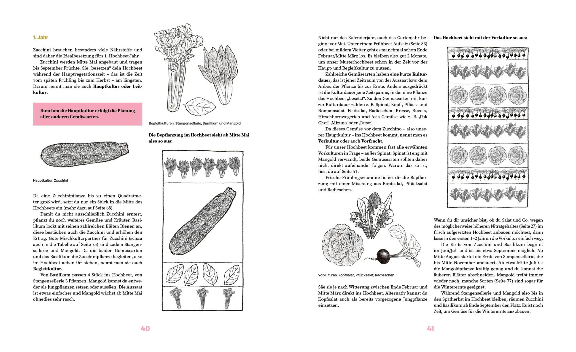 Bild: 9783706629959 | Das große Hochbeet-Buch | Doris Kampas | Buch | 232 S. | Deutsch