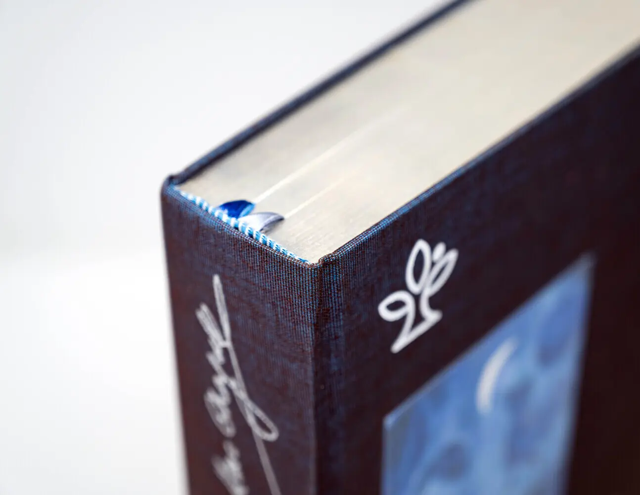 Bild: 9783920609959 | Die Schmuckbibel | Mit Bildern von Marc Chagall | Marc Chagall | Buch