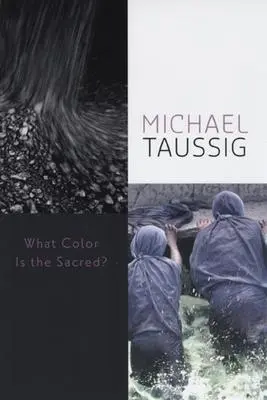 Cover: 9780226790060 | What Color Is the Sacred? | Michael Taussig | Taschenbuch | Englisch
