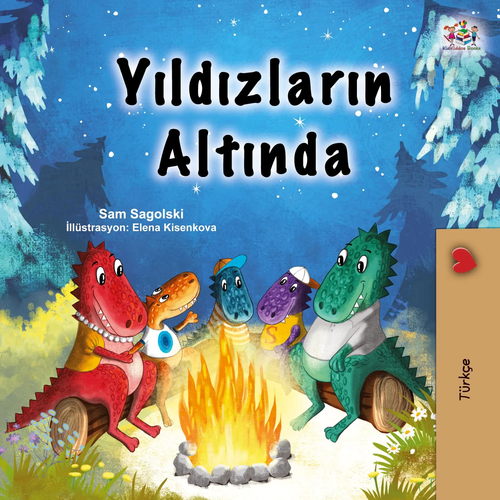 Cover: 9781525980060 | Under the Stars (Turkish Children's Book) | Sam Sagolski (u. a.)