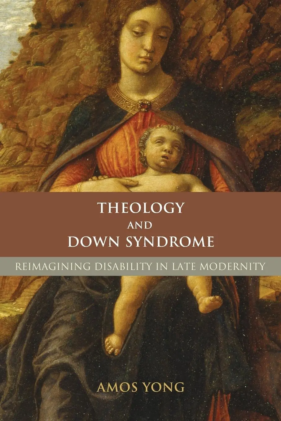 Cover: 9781602580060 | THEOLOGY &amp; DOWN SYNDROME | Reimagining Disability in Late Modernity