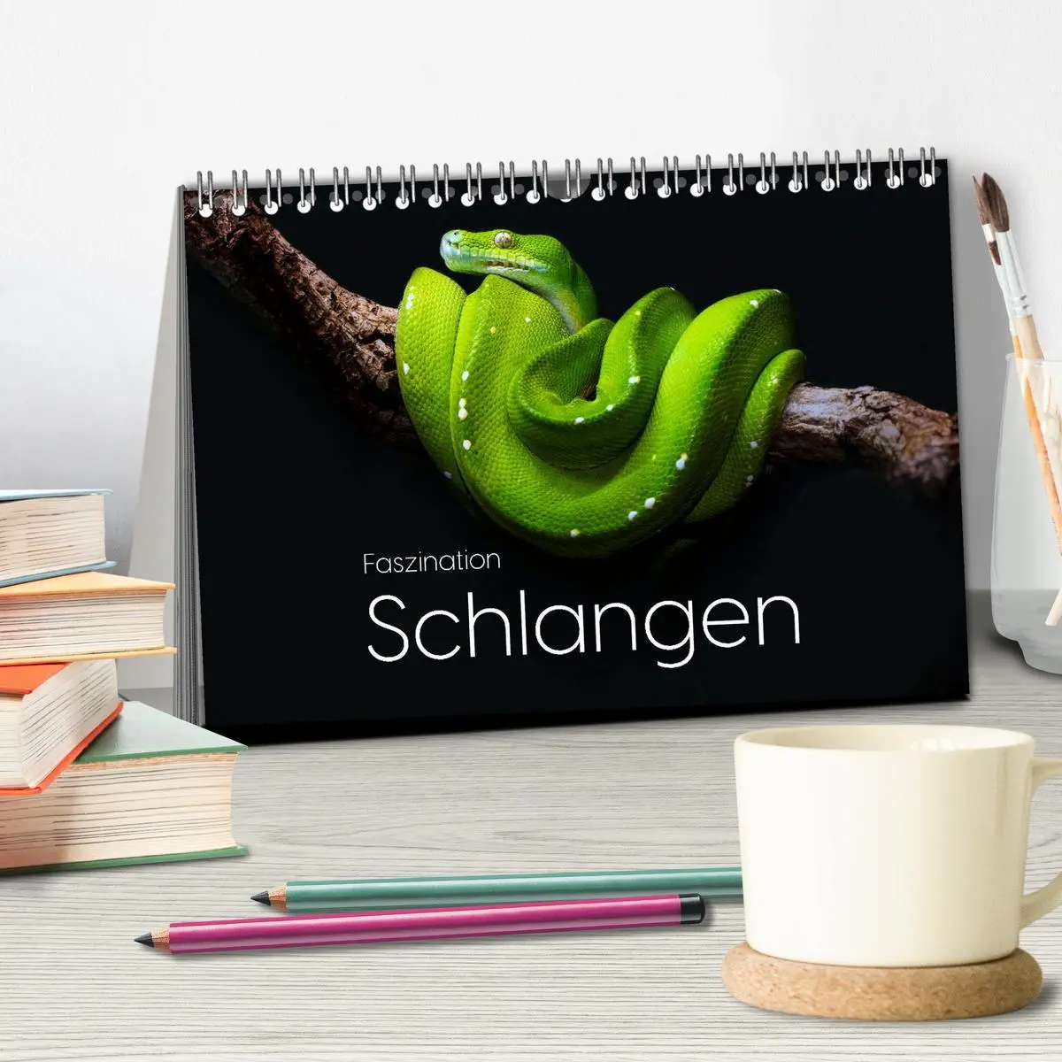 Bild: 9783457540060 | Faszination Schlangen (Tischkalender 2026 DIN A5 quer), CALVENDO...