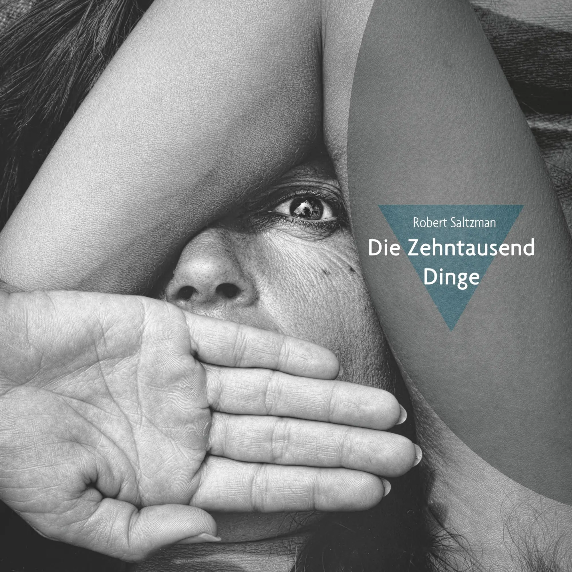 Cover: 9783750400160 | Die Zehntausend Dinge | Robert Saltzman | Taschenbuch | 208 S. | 2019