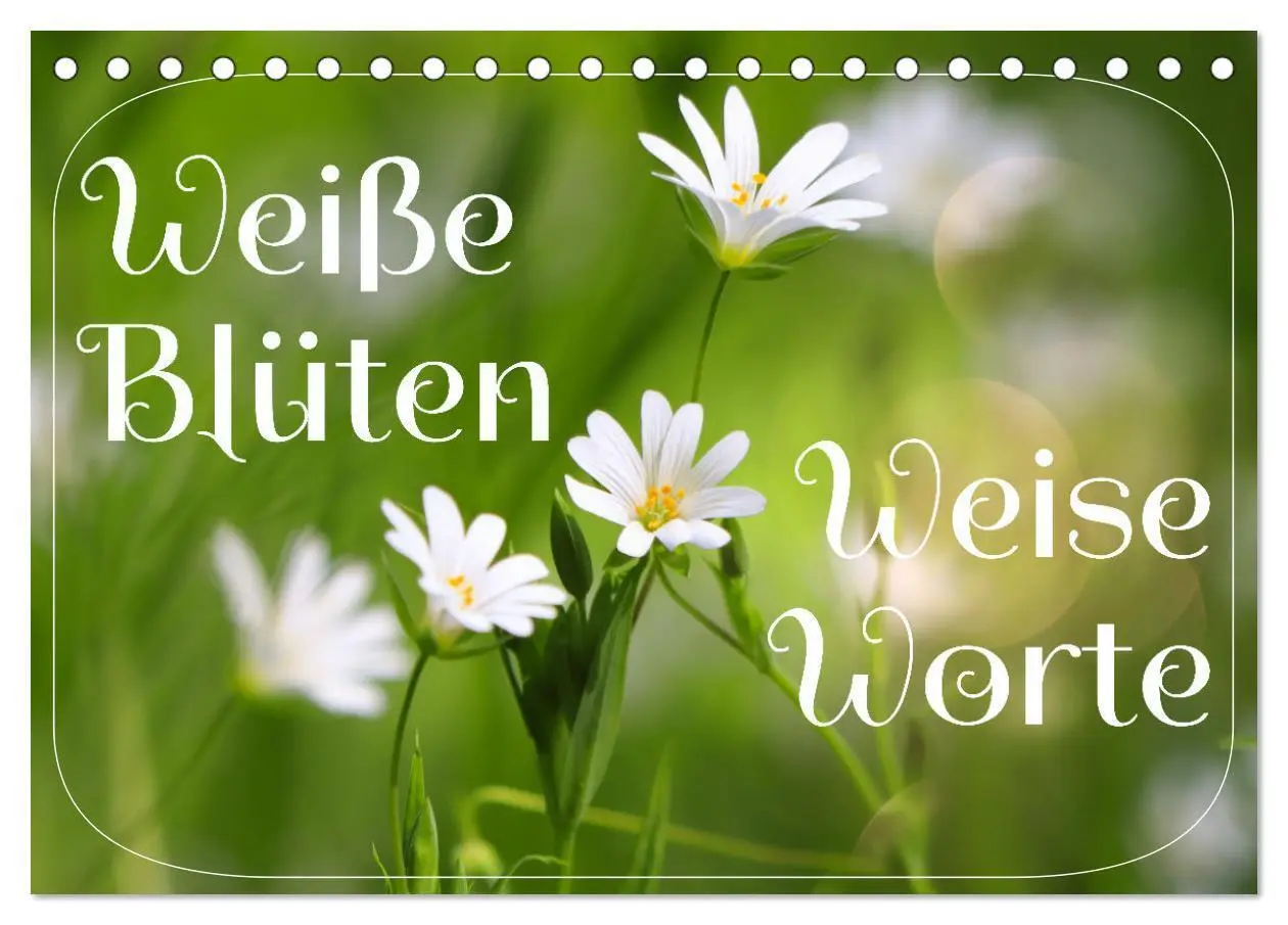 Cover: 9783435120260 | Weiße Blüten, weise Worte (Tischkalender 2025 DIN A5 quer),...