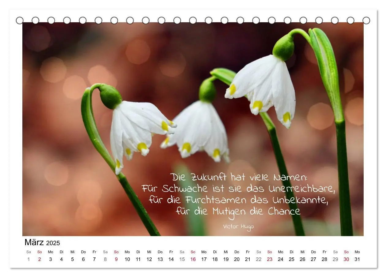 Bild: 9783435120260 | Weiße Blüten, weise Worte (Tischkalender 2025 DIN A5 quer),...