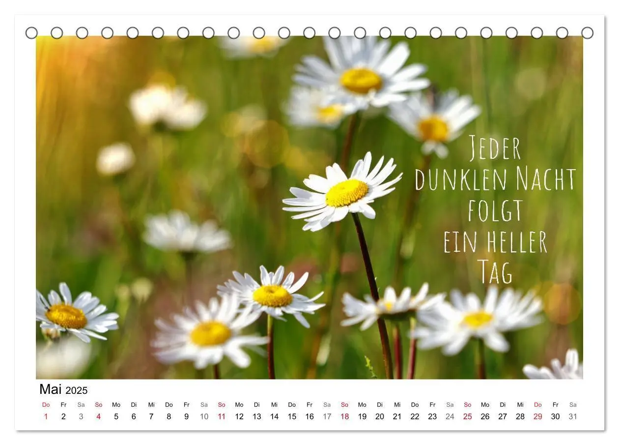 Bild: 9783435120260 | Weiße Blüten, weise Worte (Tischkalender 2025 DIN A5 quer),...