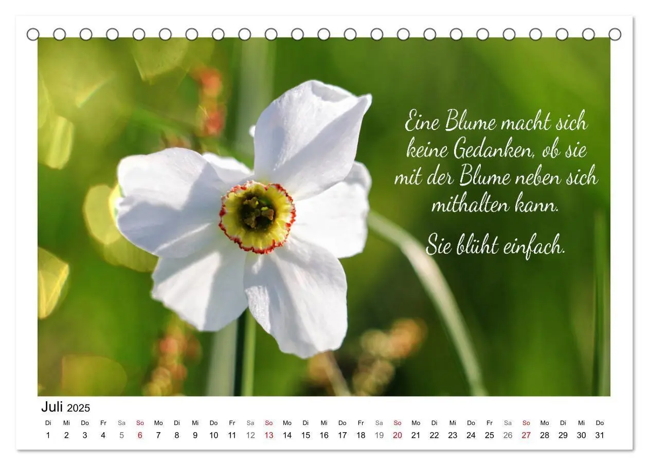 Bild: 9783435120260 | Weiße Blüten, weise Worte (Tischkalender 2025 DIN A5 quer),...
