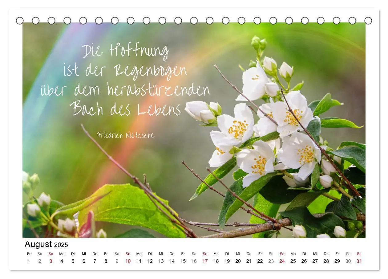 Bild: 9783435120260 | Weiße Blüten, weise Worte (Tischkalender 2025 DIN A5 quer),...