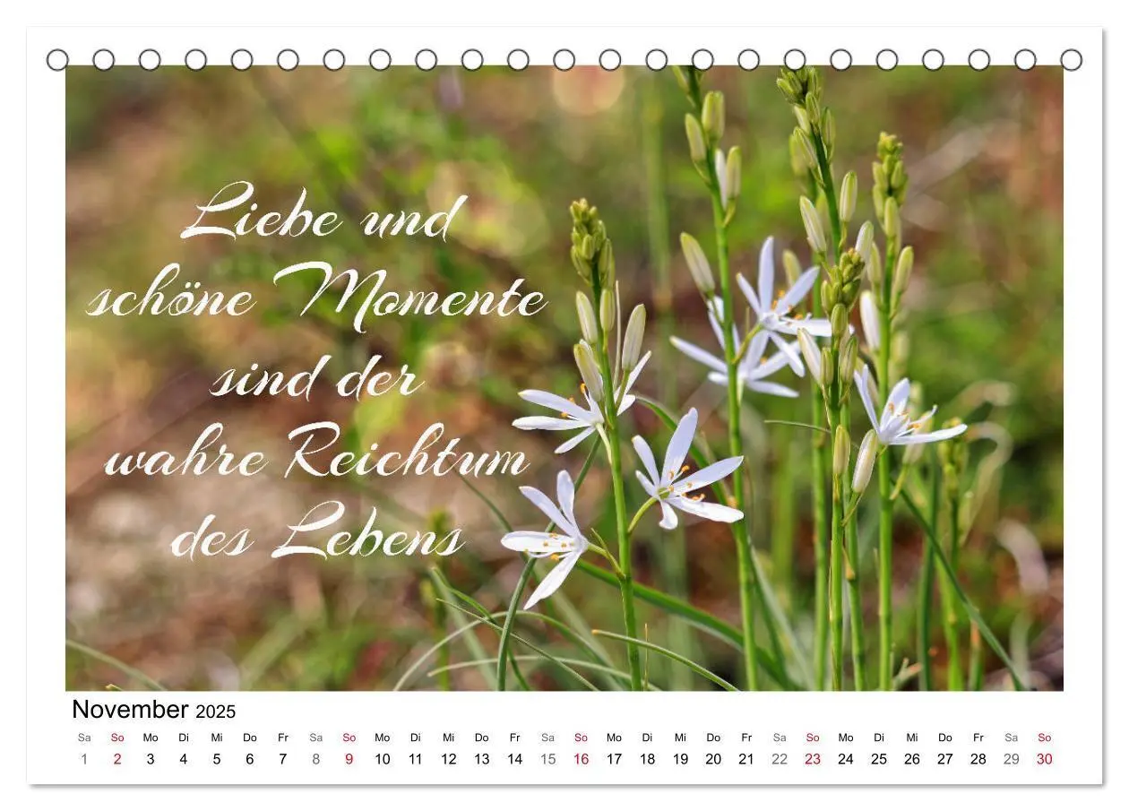Bild: 9783435120260 | Weiße Blüten, weise Worte (Tischkalender 2025 DIN A5 quer),...