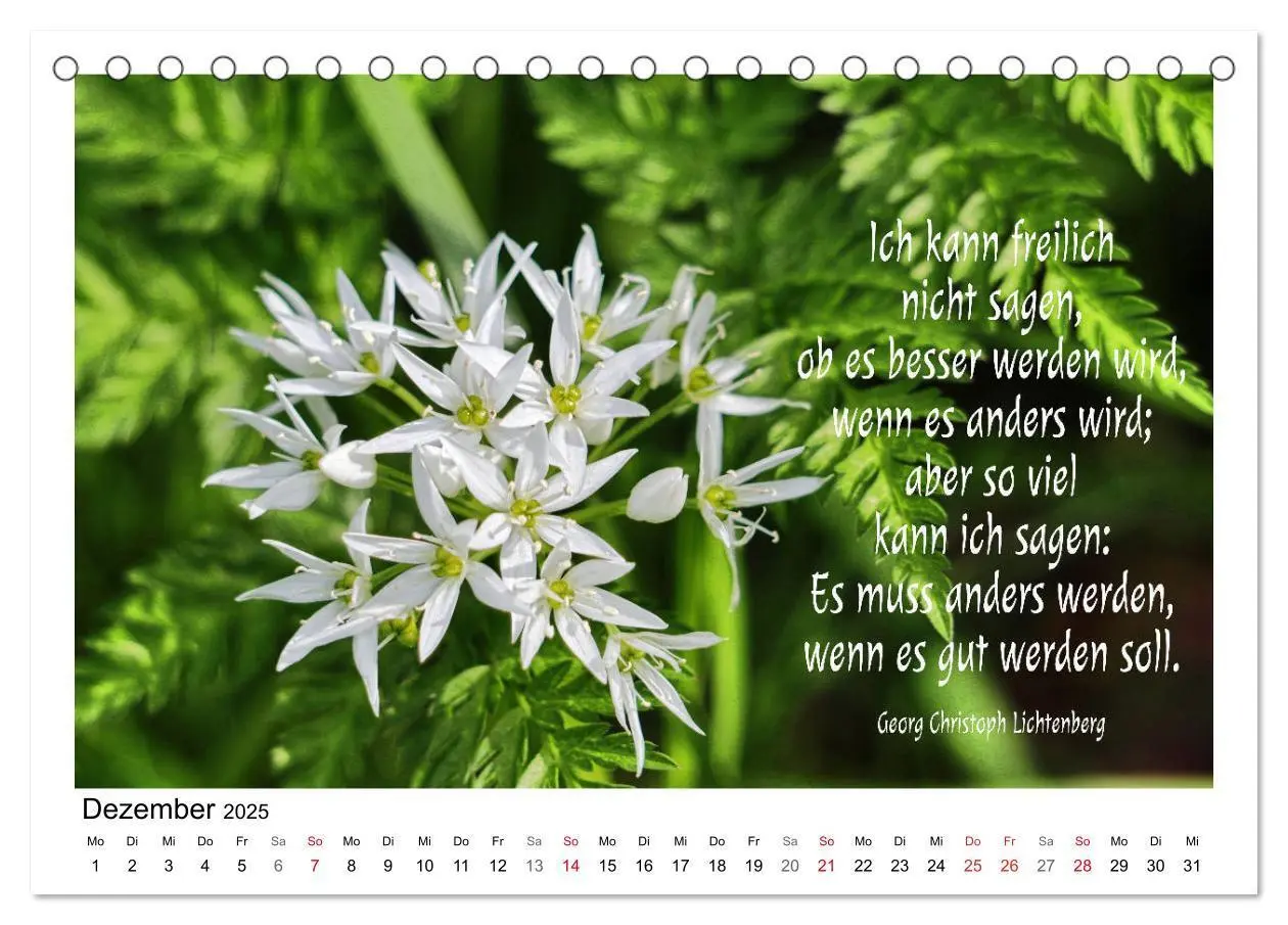 Bild: 9783435120260 | Weiße Blüten, weise Worte (Tischkalender 2025 DIN A5 quer),...