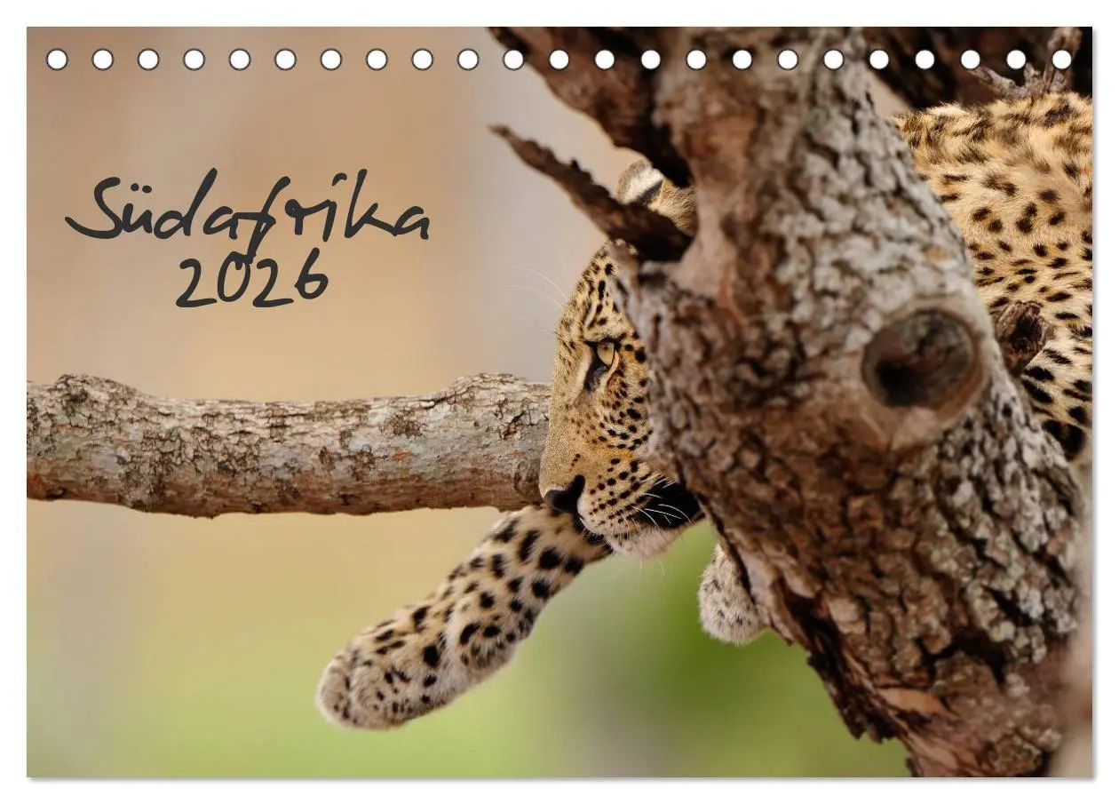 Cover: 9783516230260 | Südafrika (Tischkalender 2026 DIN A5 quer), CALVENDO Monatskalender