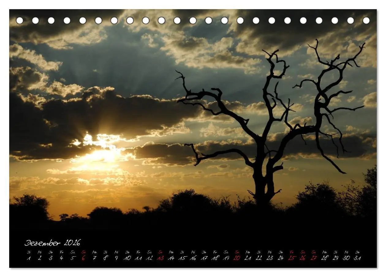 Bild: 9783516230260 | Südafrika (Tischkalender 2026 DIN A5 quer), CALVENDO Monatskalender