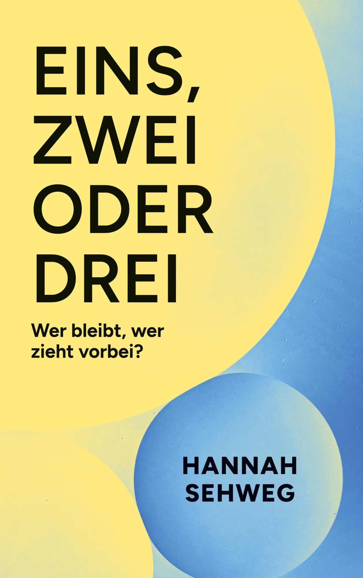 Cover: 9783695120260 | Eins, Zwei oder Drei | Wer bleibt, wer zieht vorbei? | Hannah Sehweg