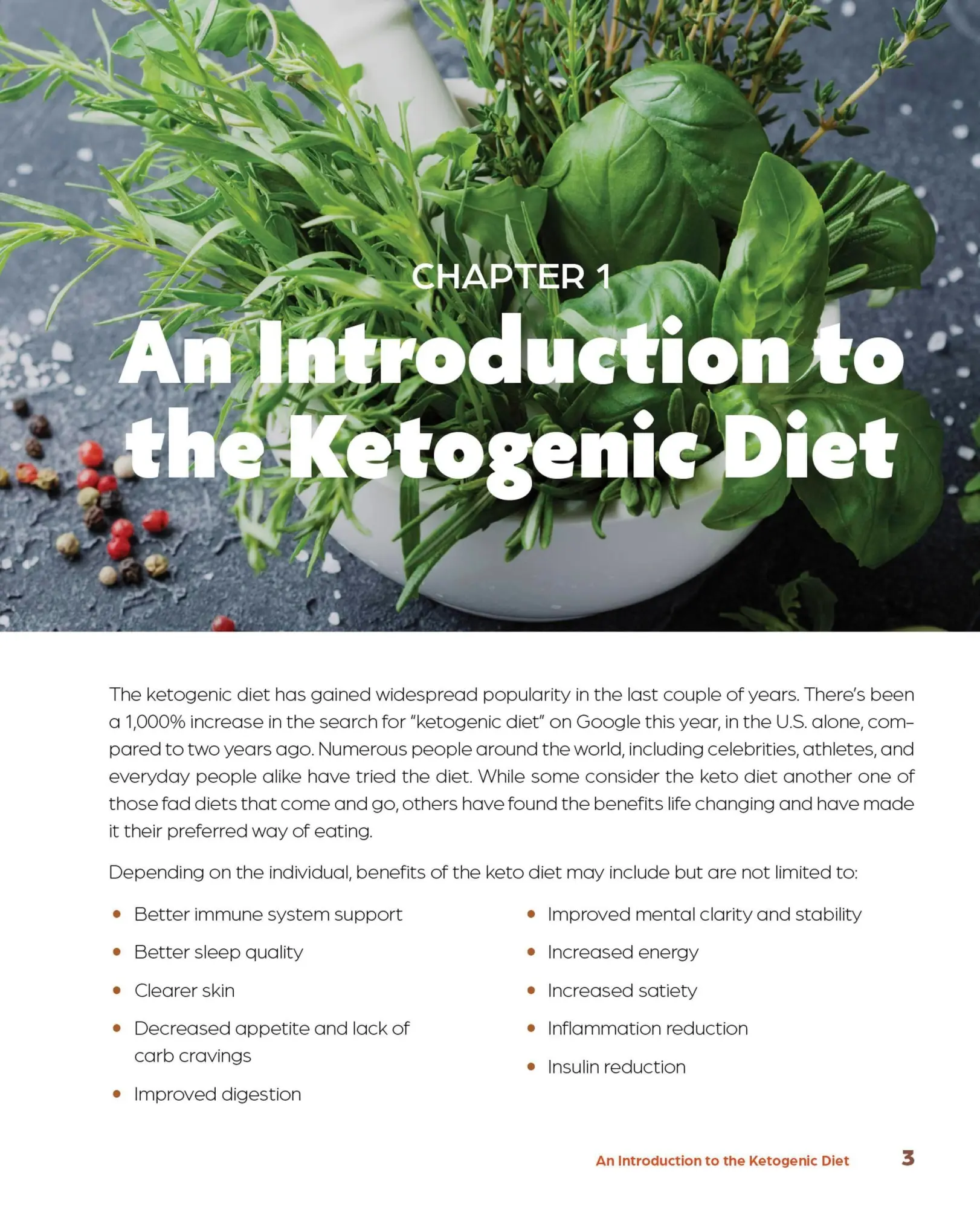 Bild: 9781646040360 | Keto BBQ Sauces, Rubs, and Marinades | Aileen Ablog | Taschenbuch
