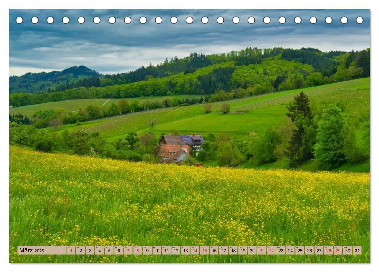 Bild: 9783457750360 | Freiburg Regio (Tischkalender 2026 DIN A5 quer), CALVENDO...