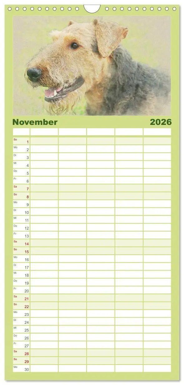 Bild: 9783516520460 | Familienplaner 2026 - Airedale Terrier 2026 mit 5 Spalten...