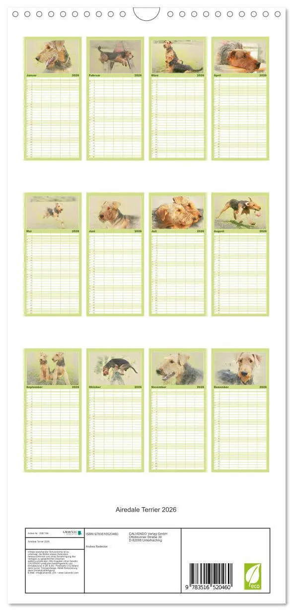 Bild: 9783516520460 | Familienplaner 2026 - Airedale Terrier 2026 mit 5 Spalten...