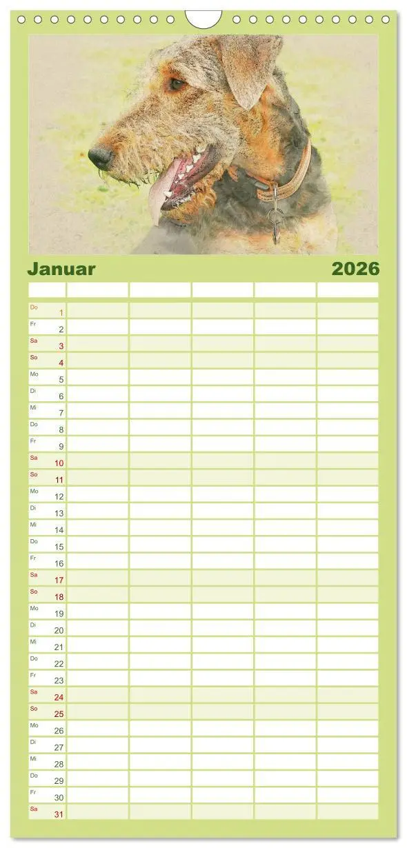 Bild: 9783516520460 | Familienplaner 2026 - Airedale Terrier 2026 mit 5 Spalten...
