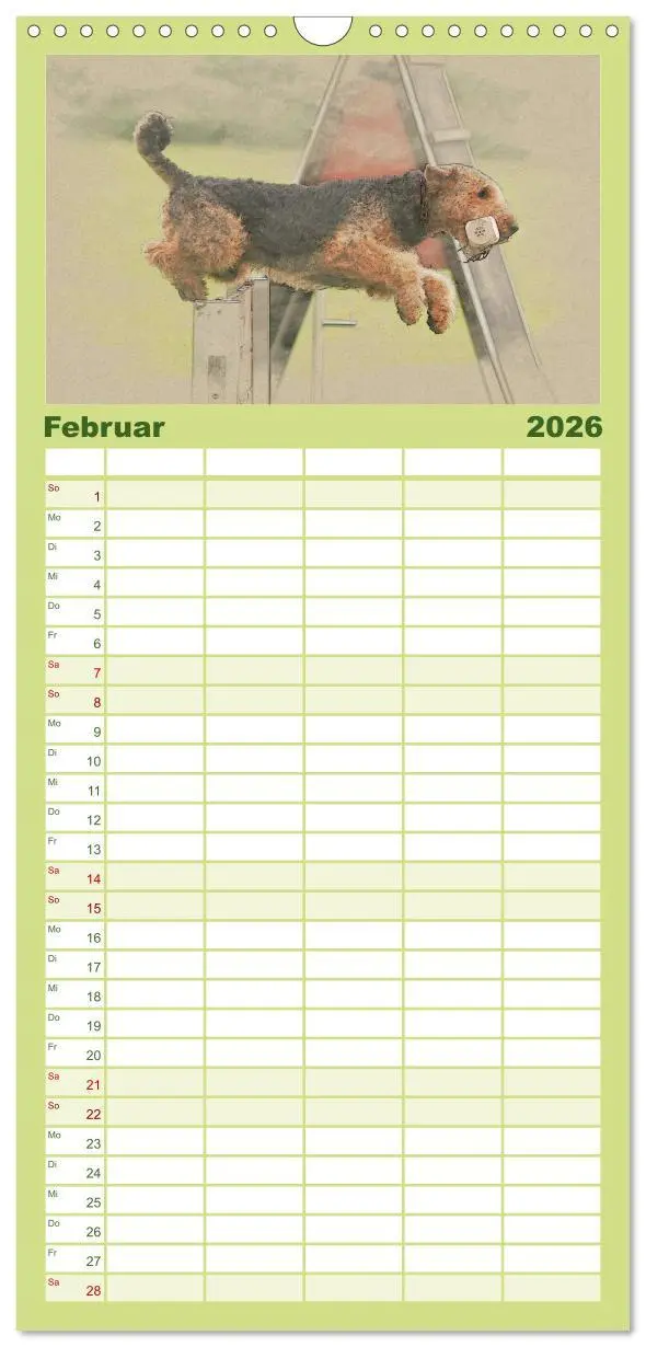 Bild: 9783516520460 | Familienplaner 2026 - Airedale Terrier 2026 mit 5 Spalten...
