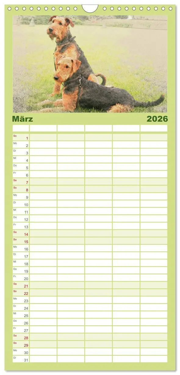 Bild: 9783516520460 | Familienplaner 2026 - Airedale Terrier 2026 mit 5 Spalten...